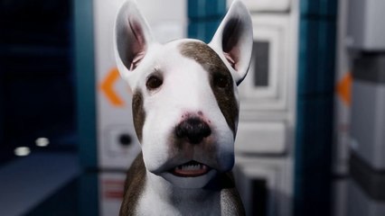 Jurassic Hav Hav Dublajlı Fragman