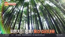 밤에 떠나면 좋은 국내 여름 여행지 '울산 십리대숲' (인생샷 필수♥)