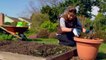 Starting a Vegetable Garden - Gardening Tips by Life For Tips