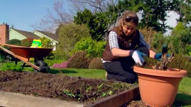 Starting a Vegetable Garden - Gardening Tips by Life For Tips