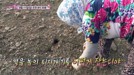 요리왕 월덕 엄마의 귀촌 일기_엄마의 봄날 204회 예고