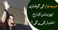 Politicians react to Maryam Nawaz's arrest