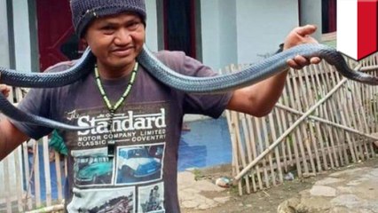 ペットの巨大ニシキヘビを入浴させた男性 絞殺される - トモニュース