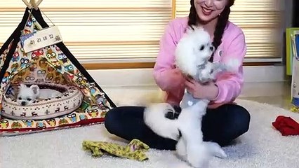 동작출장안마 -후불100%ョØ7ØE7575E0054｛카톡GD825｝ 동작전지역출장안마 동작오피걸 동작출장마사지 동작출장안마 동작출장마사지 동작출장콜걸샵안마ぢゝ⾺