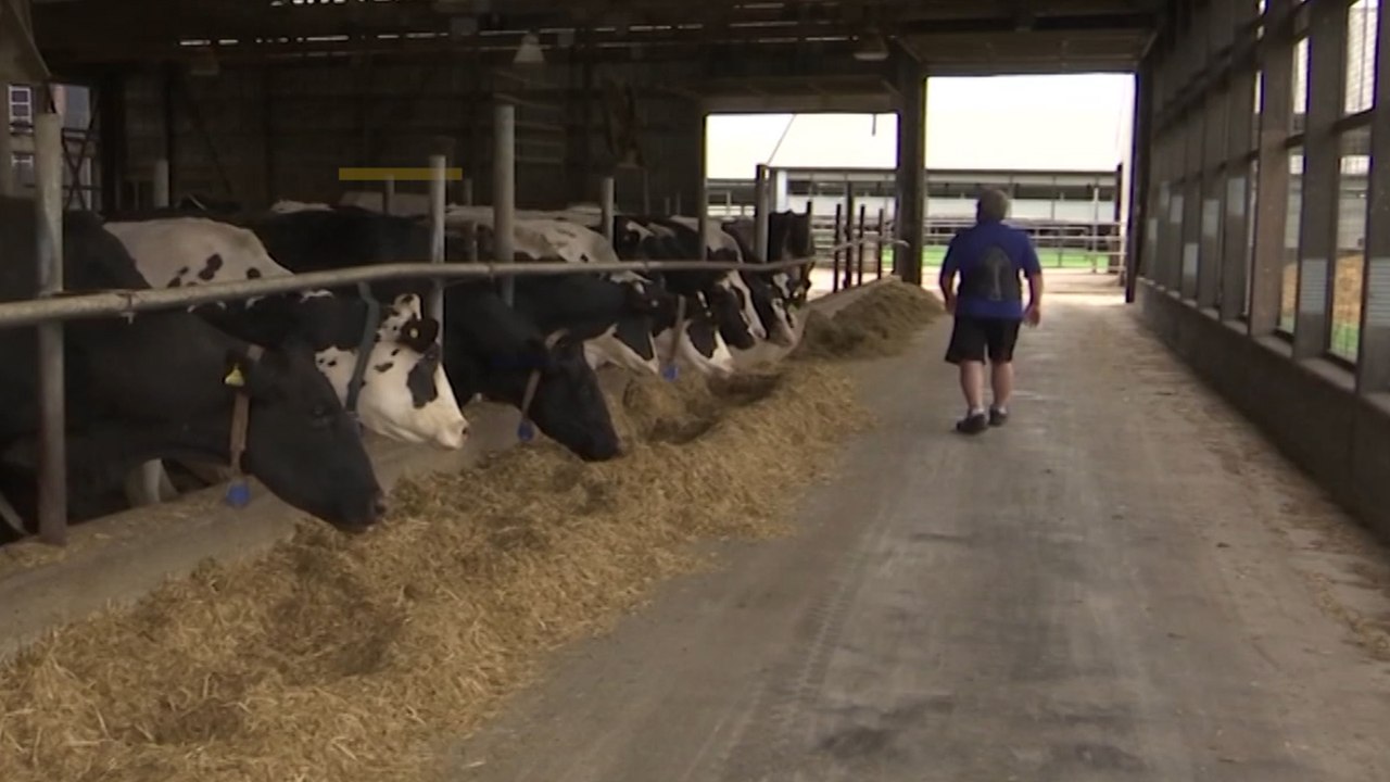 US farmers brace for more pain as China halts US agricultural imports amid escalating trade war