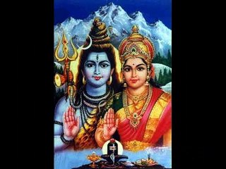 ->मायाजाल--91 9928979713 love problem solution astrologer  in Iceland