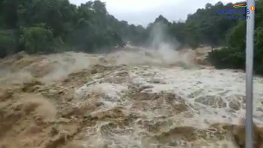 cmsvideo