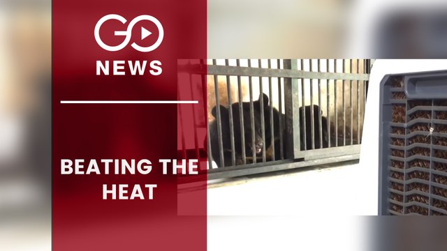 Siliguri Zoo Installs Fans & Coolers For Animals