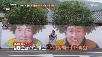 허영만이 극찬한 ‘애기동백 파마 벽화’