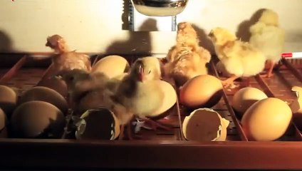 마포출장안마 -후불100%ョØ1ØZ6622Z4421｛카톡BB5858｝ 마포전지역출장안마 마포오피걸 마포출장마사지 마포안마 마포출장마사지 마포콜걸샵◑≣≕