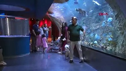 Orta Doğulu turistlerin yeni gözdesi akvaryumlar