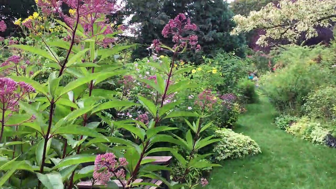 Dans le  jardin d'André Éve...