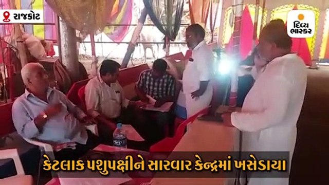 સર્કસ તો બંધ થયું પણ બે ગજરાજને સાચવવા ક્યાં? કલેક્ટર અને પોલીસ દ્વિધામાં