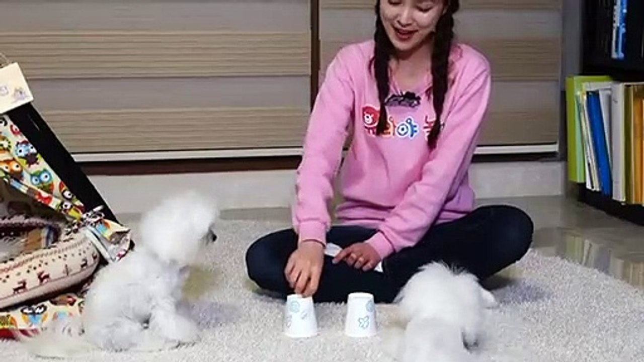 서초출장안마 -후불100%ョØ1ØM7685M6221｛카톡LTE16｝ 서초전지역출장안마 서초오피걸 서초출장마사지 서초출장안마 서초출장마사지 서초출장콜걸샵안마⾬⾻⻞
