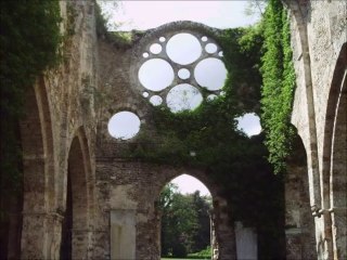 Abbaye des Vaux-de-Cernay (78)