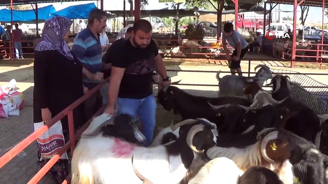 Kurban pazarında hayvan çok, alan yok