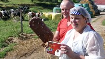 Osenbach: des glaces à la ferme