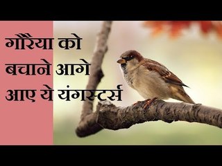 Gorakhpur: Youngsters on a mission to save endangered Sparrows