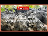Indian Fossil Park bigger than Yellowstone : Amazing History of SALKHAN FOSSILS PARK Uttar Pradesh