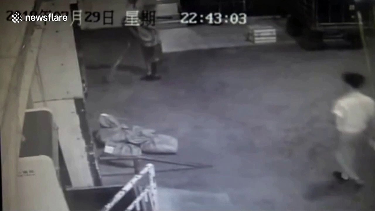Train station staff at China's Jiujiang find baby king cobras in luggage room