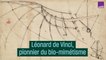 Léonard de Vinci, pionnier du bio-mimétisme - #CulturePrime