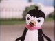 Maly Pingwin Pik-Pok 11 - Kaczka zapominalska