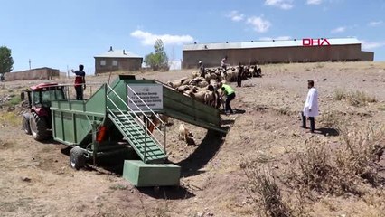 VAN MOBİL KOYUN BANYOLUĞU İLE HAYVANLAR YIKANIP, İLAÇLANIYOR