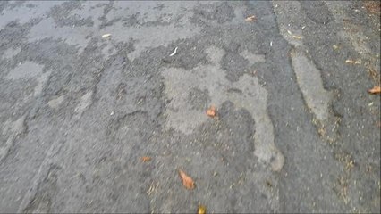 Is this Harrogate's worst potholed street?