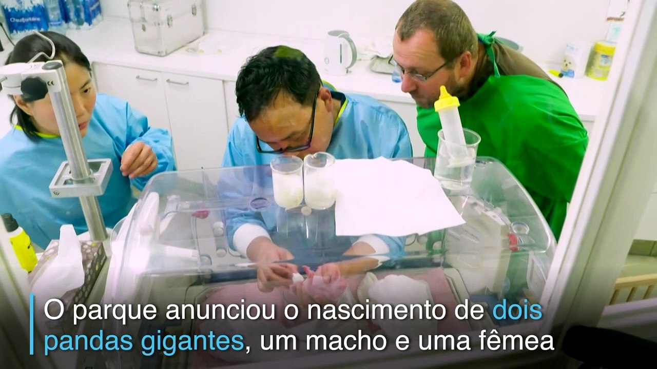 Novos moradores