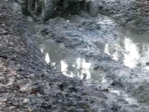 Rando du 26 01 2008 042