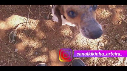 Não Deixe de Ver esta Novidade, Mais um Resgate, dessa vez Vai se Chamar Bebe