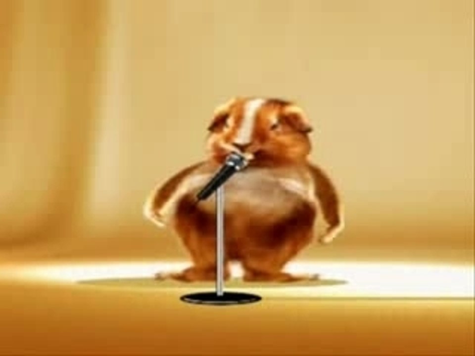 HAMSTER DANCE VIDEO