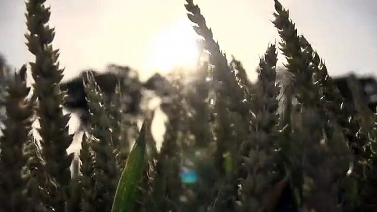 #هل يصح القول نحن مع #الكبار ومن هم الأكابر يجيب الشيخ #محمد بن هادي المدخلي