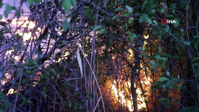 Anız yangınının bahçelerine sıçramaması için kova ve hortumla müdahale ettiler