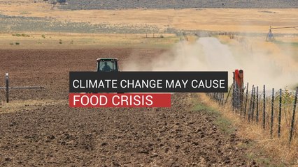 Climate Change Causing Food Crisis