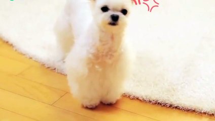 전주출장안마 -후불100%ョØ7ØM7575M0069｛카톡CC6969｝ 전주전지역출장안마 전주오피걸 전주출장마사지 전주출장안마 전주출장마사지 전주출장콜걸샵안마⻚⊃⾨