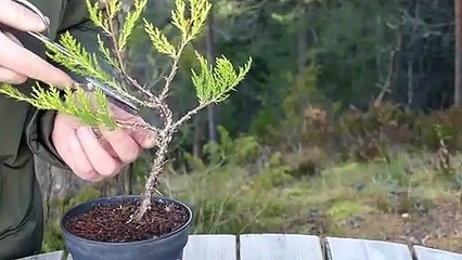 태종대출장안마 -후불100%ョOiON7467N4367｛카톡RQ43｝ 태종대전지역출장안마 태종대오피걸 태종대출장마사지 태종대안마 태종대출장마사지 태종대콜걸샵ょ≈㌗