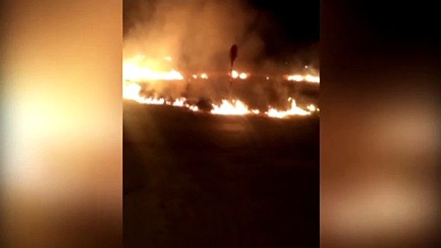 Incêndio ambiental quase atingiu rede elétrica, afirma internauta