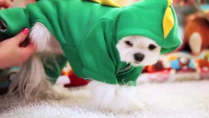 문막출장안마 -후불100%ョØ1ØZ7467Z4367｛카톡KP93｝ 문막전지역출장안마 문막오피걸 문막출장마사지 문막출장안마 문막출장마사지 문막출장콜걸샵안마 문막출장아로마 ⾦ゐ㌿