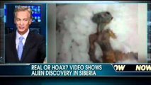 Believe It Or Not: Video Shows Alien Discovered in Siberia?-