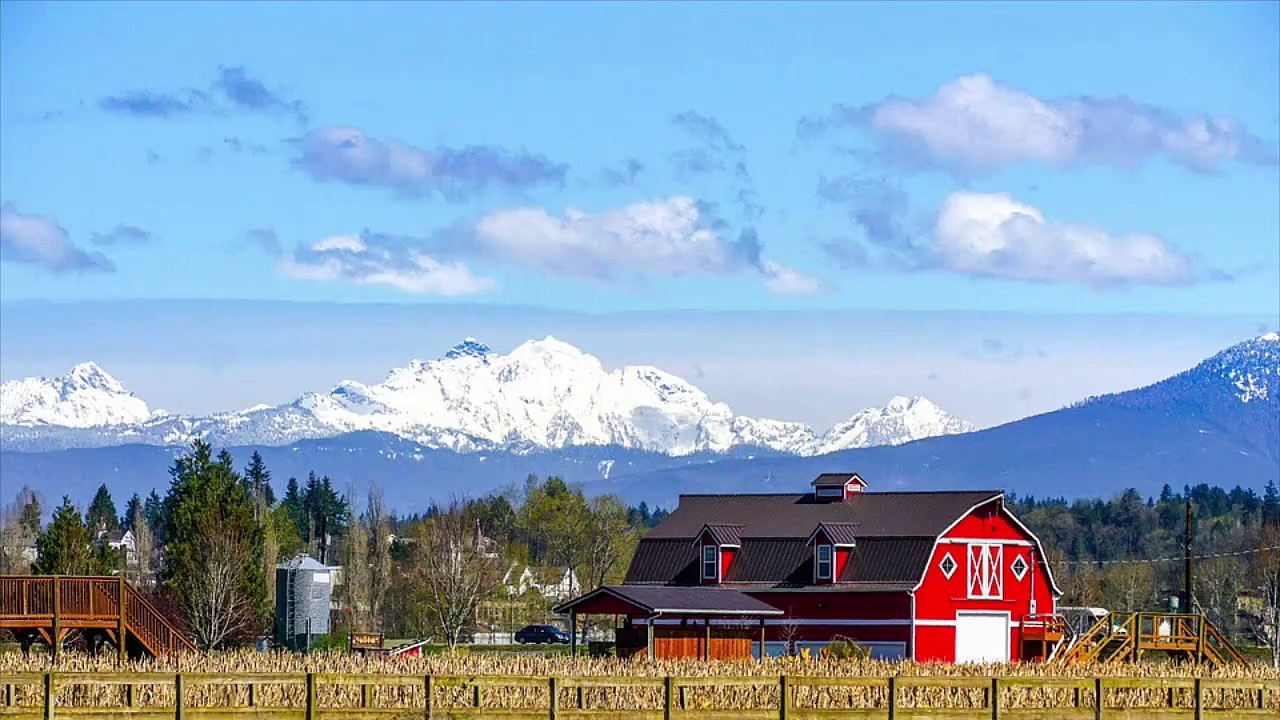 Funny Jokes - The Farmer Had A Beautiful Daughter...