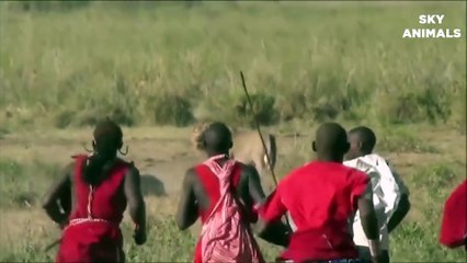 Amazing Wild Animals Attacks - Wild Animal Fights Caught On Camera - Wild Animals Ultimate Fights