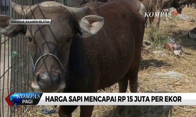 Berkah Idul Adha Bagi Pedagang
