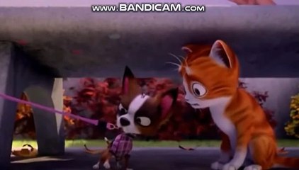 토토솔루션임대, 토토솔루션분양, BK토토솔루션