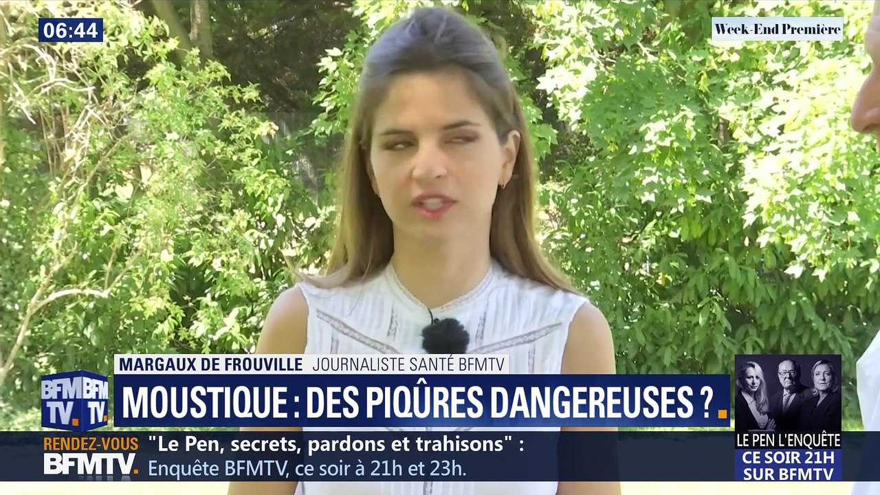 Santé – Les questions de l’été: Les piqûres de moustiques sont-elles dangereuses ?