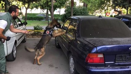 Mersin'de 72 bin 500 adet extacy hap ele geçirildi