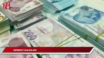 Evlerinden sahte 2 milyon dolar çıkan dolandırıcılar serbest