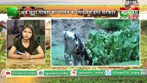 Kisano के लिए सबसे बड़ी स्कीम, खेती के लिए हर किसान को मिलेंगे 31 हजार रूपये | Kisan Bulletin 10 August 2019 | Grameen News