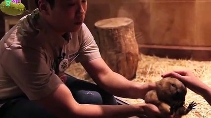 동대문출장안마 -후불1ØØ%ョOiOW2671W8135｛카톡AQ52｝ 동대문전지역출장마사지 동대문오피걸 동대문출장안마 동대문출장마사지 동대문출장안마 동대문출장콜걸샵안마 동대문출장아로마 동대문출장≜㍎≛