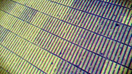 Caminando y plaza y parroquia de la Santa Cruz